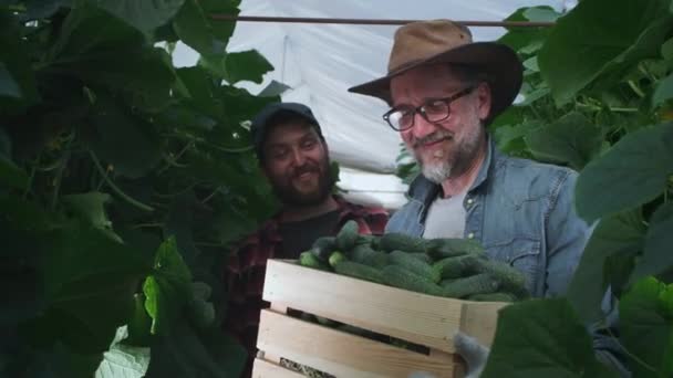 Heureux agriculteurs montrant boîte de concombres — Video
