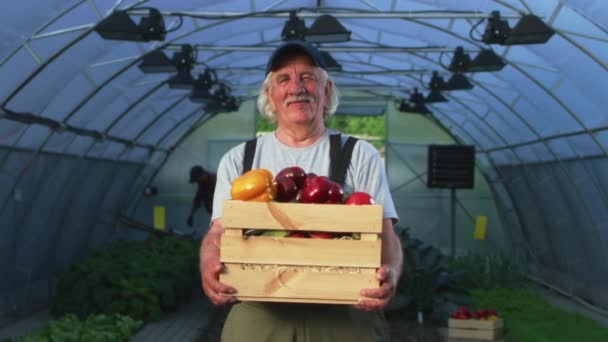Homme âgé avec des poivrons debout en hothouse — Video