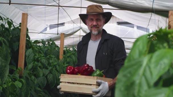 Heureux jardinier mature avec caisse de poivrons — Video