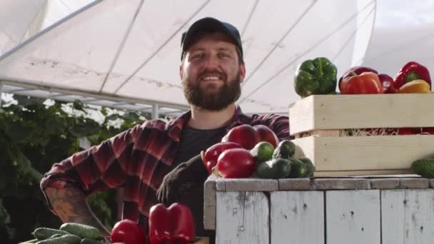 Jardinier adulte optimiste debout près des légumes — Video