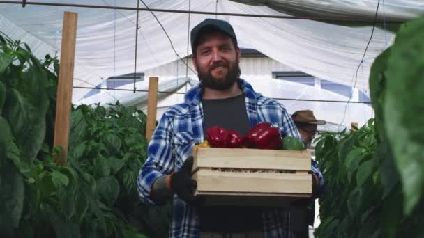 Agriculteur masculin joyeux avec des poivrons debout près de collègue — Video