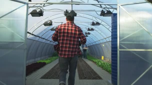 Мужчины-фермеры с коробками, ходящими в теплице — стоковое видео