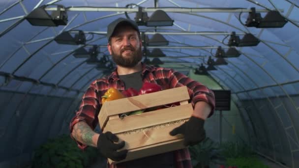 Jardineiro alegre com pimentas na estufa — Vídeo de Stock