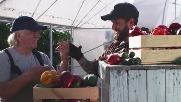 Cheerful farmers tasting ripe cucumber — Stock Video