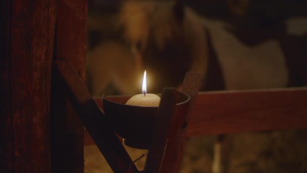 Свечи светятся стабильно в Рождество — стоковое видео
