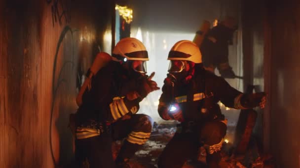 Strażacy omawiający strategię operacji ratunkowych — Wideo stockowe