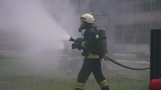 Πυροσβέστες ρίχνει νερό από σωλήνες στο γκαζόν — Αρχείο Βίντεο