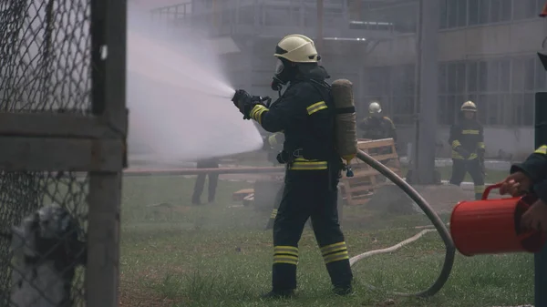 Brandweerlieden gieten water uit slangen op het gazon — Stockfoto