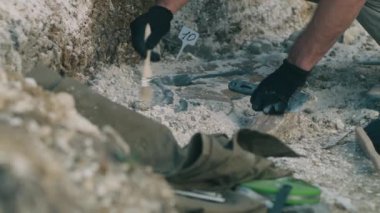 Ekin arkeologları dinozor kemikleri çıkarıyor.
