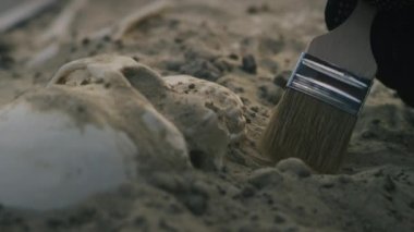 Tanınmayan arkeolog altın kolye buldu.