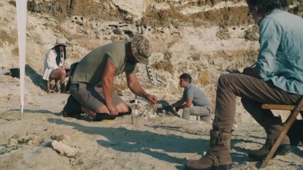 Équipe d'archéologues fouillant des fossiles — Video