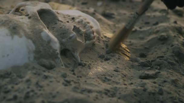 익명의 고고학자가 사람의 두개골 과 목걸이를 발굴하는 모습 — 비디오