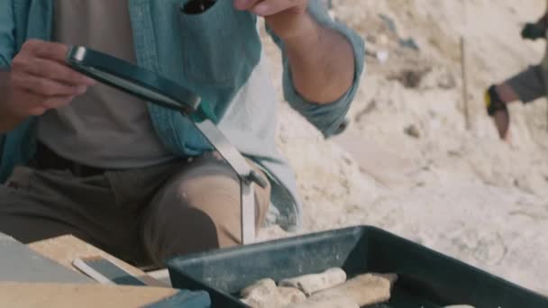 Homens maduros analisando pedras no sítio arqueológico — Vídeo de Stock