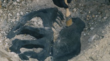 Tanınmayan arkeolog dinozor kafatası buldu.