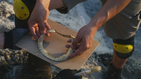 Кукурудзяні археологи вивчають намисто разом — стокове фото