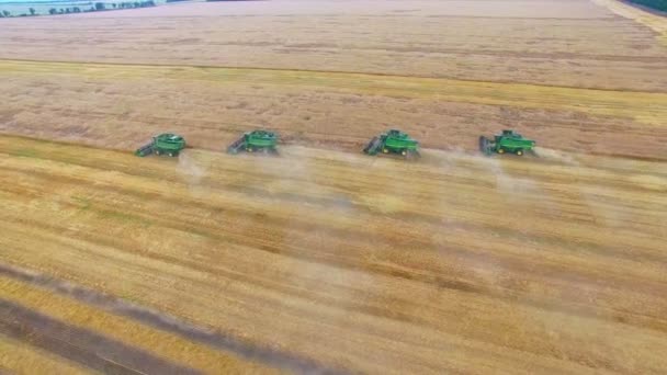 Aerial 4K wheat harvesting — Stock Video