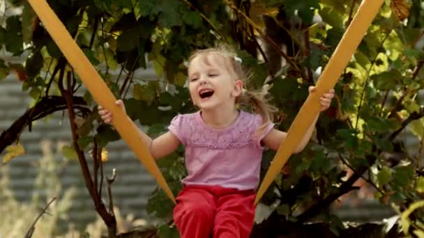 Mom rolls her daughter on a swing — Stock Video