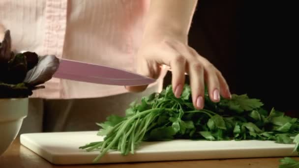 Cutting of cilantro — Stock Video