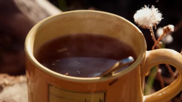 A cup of tea on a stump — Stock Video