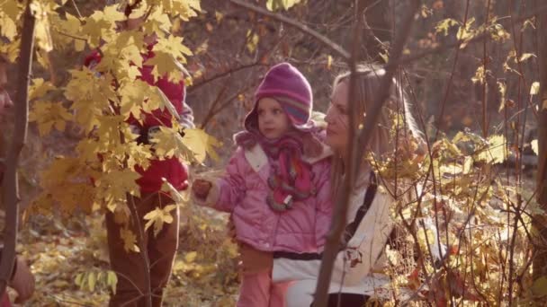 Die glückliche Familie spaziert im Park — Stockvideo