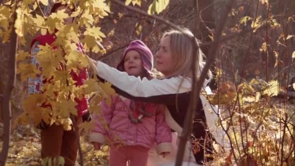 Mutter, Tochter und Sohn spazieren im Herbstpark — Stockvideo