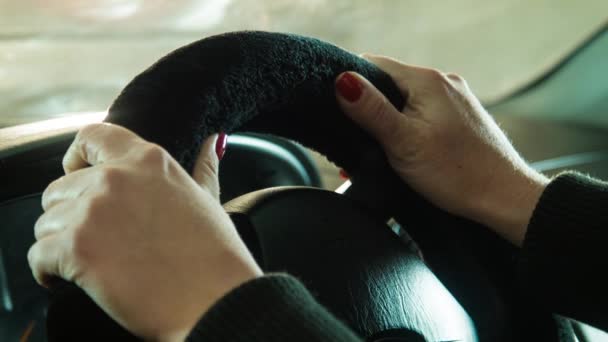 A menina sente uma roda macia no carro — Vídeo de Stock