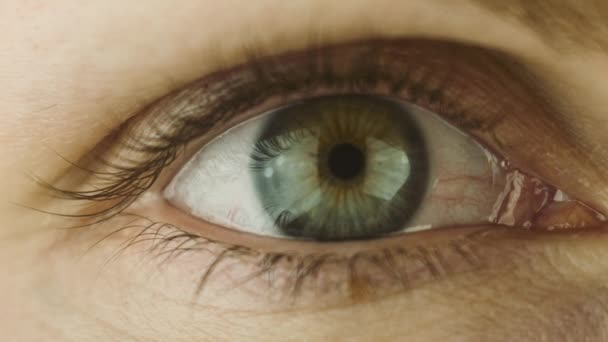 Gros plan Macro-prise de vue de la femme clignotant des yeux humains 