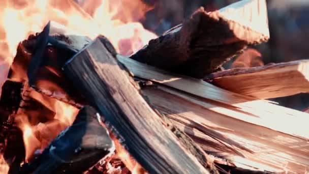 Barbecue fire firewood — Stock Video