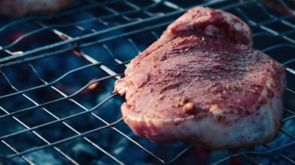 Grilled pork meat on barbeque — Stock Video
