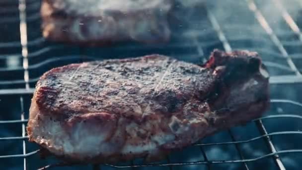 Carne de cerdo a la parrilla en la barbacoa — Vídeo de stock