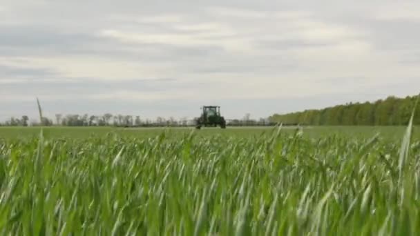 Püskürtücü spreyler genç buğday — Stok video