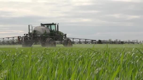 Püskürtücü spreyler genç buğday — Stok video