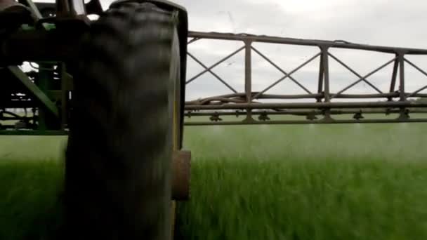 Распылитель распыляет молодую пшеницу — стоковое видео