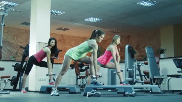Aula de fitness fazendo exercícios com halteres — Vídeo de Stock