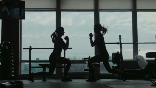 Silueta de dos mujeres atractivas haciendo sentadillas ejercicio físico en un gimnasio — Vídeo de stock