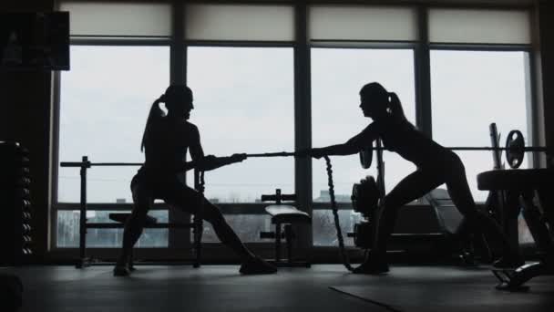 Silueta de dos mujeres tirando de una cuerda en un gimnasio deportivo — Vídeos de Stock