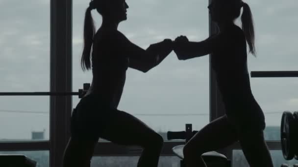 Deux filles pour se tenir la main et faire des sauts de squat dans la salle de sport — Video