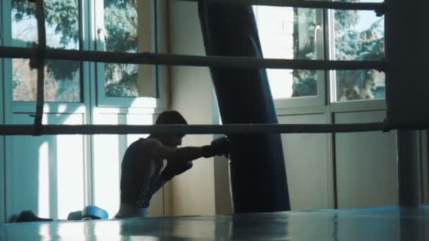 Silhouette of young boxer training with punching bag in gym look through a ring — Stock Video