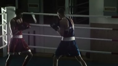 Bir halka üzerinde iki boksörler fikir tartışması eğitim siluet