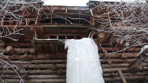 As quedas congeladas na floresta perto do alojamento — Vídeo de Stock