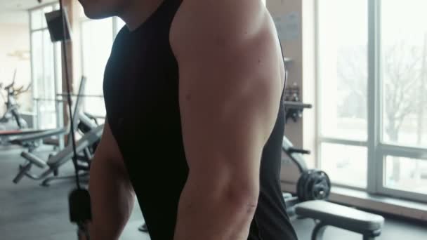 Bodybuilder triceps training — Stockvideo