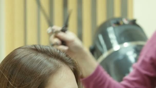 Cabeleireiro e corte de cabelo — Vídeo de Stock