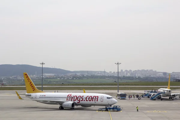 Aeropuerto avión pista Pegasus líneas aéreas — Foto de Stock