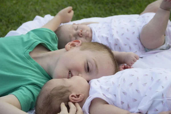 Glücklicher Bruder Küsst Eine Seiner Zwillingsschwestern Park Stockfoto