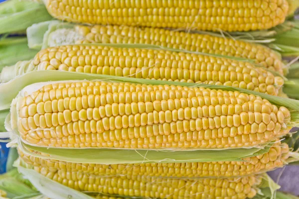 Corn piled up on market — Stock Photo, Image