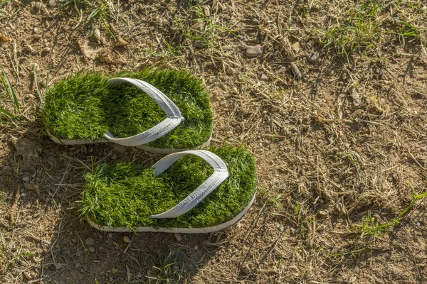 Global warming environment, last green flip flops isolated on dried grass — Stock Photo, Image