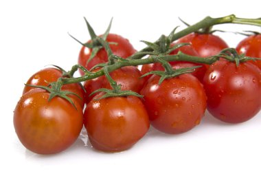 Beyaz arka plan üzerinde izole bir asma üzerinde domates