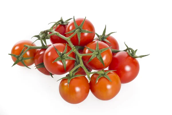 Tomates sobre una vid aislada sobre fondo blanco — Foto de Stock