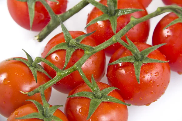 Pomidory na winorośli na białym tle — Zdjęcie stockowe