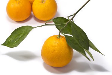 Portakallar beyaz arkaplanda izole edilmiş